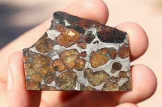 Sericho Meteorite Pallasite From Kenya Part Slice 12 Grams