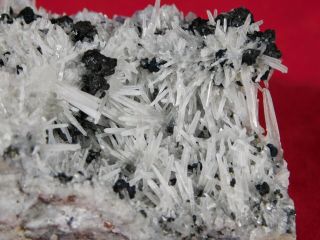 A Big Quartz Crystal Cluster with Sphalerite Sweet Home Mine Colorado 634gr 3
