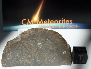 Meteorite Nwa 6476 Chondrite L - Melt Breccia (s2 - W0/1),  Top Full Slice