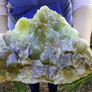 Outstanding Large 10 1/2 Inch Multi Color Green Calcite Crystal