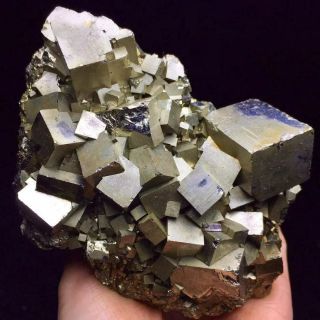 643g Natural Shiny Golden Cubic Pyrite Crystal Cluster Mineral Specimen/china