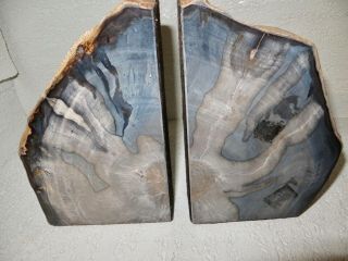 Vintage Petrified Wood Bookends 8 Lbs 71/2 " X 4 3/4 X 1 3/4 " Awesome