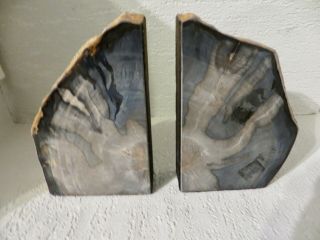 Vintage Petrified Wood Bookends 8 lbs 71/2 