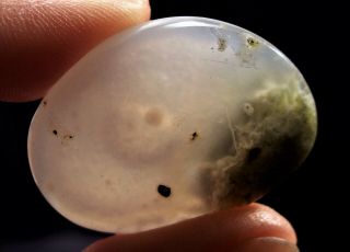 See Video Polished Rare Enhydro River Agate W/chlorite,  Moving Bubble 9.  7g
