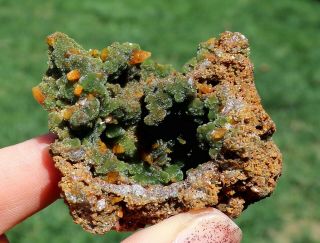 Butterscotch Yellow Wulfenite And Green Mimetite Scattered On Red Host Matrix 2