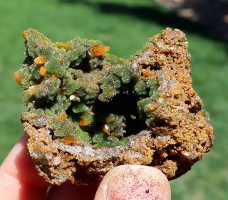 Butterscotch Yellow Wulfenite And Green Mimetite Scattered On Red Host Matrix 3