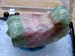 Tn 1/2 By 7/8 Inch Section Of Water Mellon Tourmaline,  Newry,  Maine