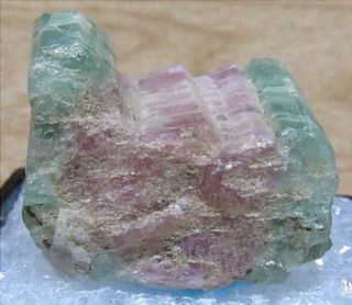 TN 1/2 by 7/8 inch Section of Water Mellon Tourmaline,  Newry,  Maine 2
