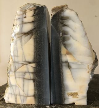 Large Polished Pair Gray Agate Natural Geode Stone Bookends Veins Thru Ivory