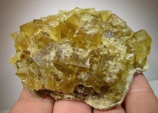Sweet Deep Yellow Fluorite: Hilton Mine,  Scoredale,  Cumbria,  England - Nr