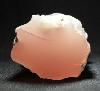 Pink Agate (chalcedony) Wood From Texas Springs,  Nevada 103 Grams Miocene