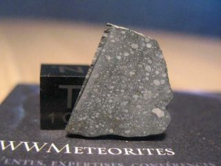 Meteorite Nwa 12482 - Unequilibrated Rumurutie Chondrite - R3