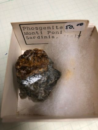 Estate Natural Science Rock Mineral Specimen Geology Phosgenite Monti Poni Italy