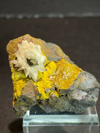 Aesthetic Pyrite On Calcite Crystals: Homer Mine,  Iron County,  Michigan - Rare