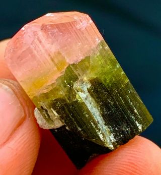 40 C.  T Tourmaline Natural Terminated Bi Color Gemmy Quality Tourmaline Crystal