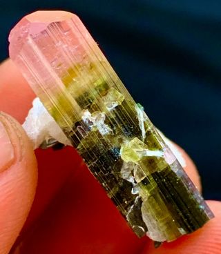 23 C.  T Tourmaline Natural Terminated Bi Color Gemmy Quality Tourmaline Crystal