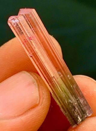 10.  5 C.  T Tourmaline Natural Terminated Bi Color Gemmy Quality Tourmaline Crystal