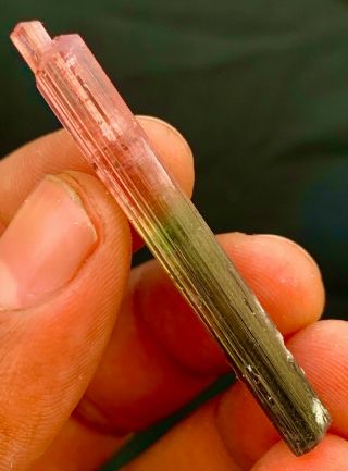 23.  5 C.  T Tourmaline Natural Terminated Bi Color Gemmy Quality Tourmaline Crystal