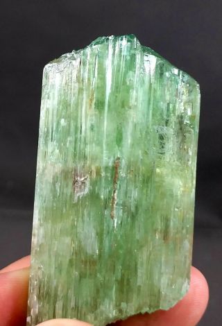 356 Carat Top Quality Lush Green Hiddenite Kunzite Crystal @afg