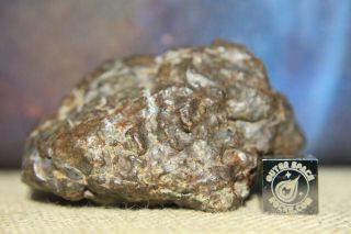 Nwa Unclassified Meteorite 112 Gram Desert Polished Fragment