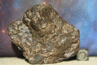 NWA Unclassified Meteorite 112 gram desert polished fragment 2