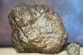 NWA Unclassified Meteorite 112 gram desert polished fragment 3