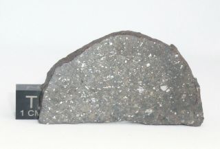 Meteorite Nwa 6476 Chondrite L - Melt Breccia (s2 - W0/1),  Full Slice