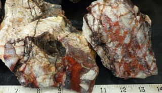 rm69 - OLD STOCK - Crazy Lace Agate - Mexico - 8.  8 lbs - US 982 3