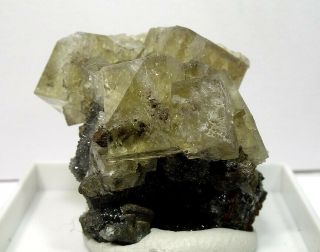Yellow Fluorite Rarity: Murton Mine,  Scoredale,  Cumbria,  England,  Uk - Nr
