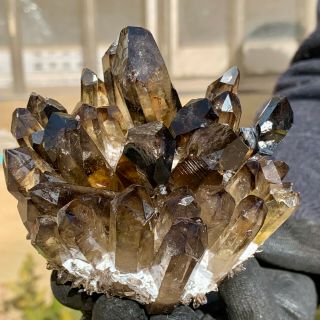 452g Samples Of Smokey Yellow Quartz Crystal Cluster Minerals From Madagat Ya127