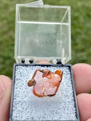 Exceptional Old Stock Gem Wulfenite Crystal,  Red Cloud Mine,  Arizona 2