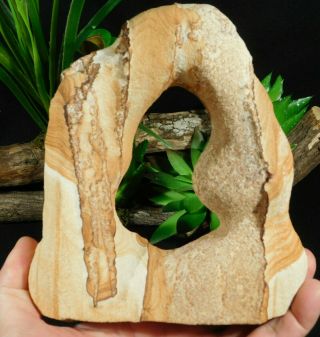 A Big Abstract Navajo Sandstone Arch With Hematite From Utah 1362gr
