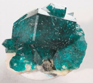 Dioptase Twinned Crystals.  Tsumeb Mine,  Namibia