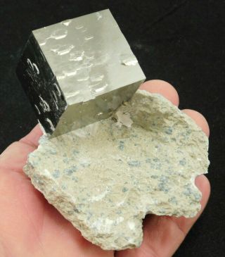 A Larger Perfect 100 Natural Aaa Pyrite Crystal Cube On Matrix Spain 333gr