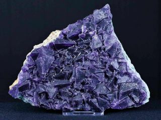 Xl Natural Purple Fluorite Crystals Mineral Specimen Stand 5.  3 Inches Long