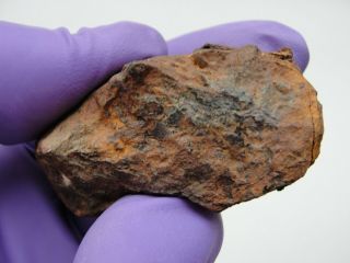 Brenham Pallasite Meteorite 64 Gm Nugget / Fragment.  $1 Per Gram,  Buy It Now.