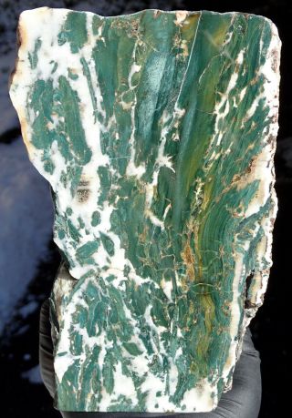 Mw: Petrified Wood GREEN WOOD - Hampton Butte,  Oregon - Polished Stand Up Specimen 2