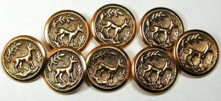 Set Of 8 Vintage Brass Button Deer Sporting Design - 7/8 