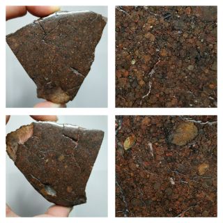 T102 - Nwa 13376 Unequilibrated Ll3.  4 Chondrite Meteorite 181g Thick Slice