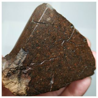 T102 - NWA 13376 Unequilibrated LL3.  4 Chondrite Meteorite 181g Thick Slice 3