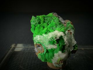 (3.  8cm,  25.  8g) Gorgeous Neon Green Conichalcite W/ Calcite - Ojuela Mine,  Mexico