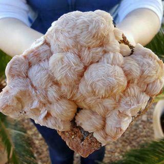Very Fine Large 5 1/2 Inch World Class Barite Crystal Cluster