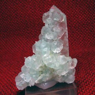 Fluorite Green Crystals Scattered On Quartzs From Peru.  Wonderful Old Stock