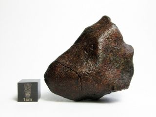 Nwa X Meteorite 87.  12g Fabulously Fresh Flight Marked Firestone