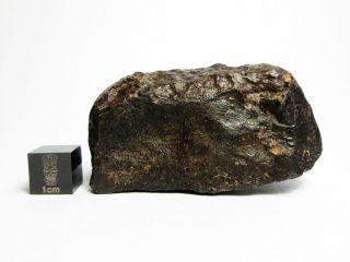 Nwa X Meteorite 91.  98g Superbly Shaped Stony Space Rock