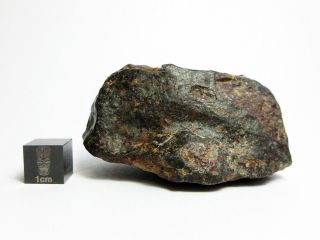 NWA x Meteorite 91.  98g Superbly Shaped Stony Space Rock 2