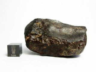 NWA x Meteorite 91.  98g Superbly Shaped Stony Space Rock 3