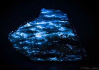 Fluorescent Scheelite,  Powellite Slice Uv Sw Tungsten Mine Austria 107.  8mm 228g