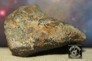 Nwa Unclassified Meteorite 180 Gram Desert Polished Individual