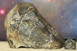 NWA Unclassified Meteorite 180 gram desert polished individual 3